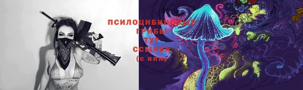 мет Гусев