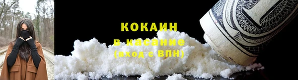 мет Гусев