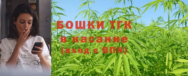эйфоретик Гусь-Хрустальный