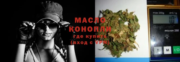 эйфоретик Гусь-Хрустальный