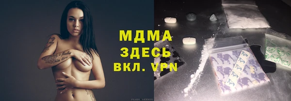эйфоретик Гусь-Хрустальный