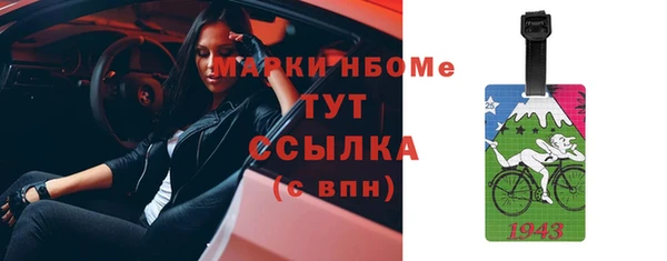 эйфоретик Гусь-Хрустальный
