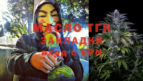 эйфоретик Гусь-Хрустальный