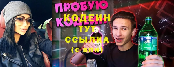 эйфоретик Гусь-Хрустальный