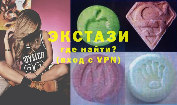 эйфоретик Гусь-Хрустальный