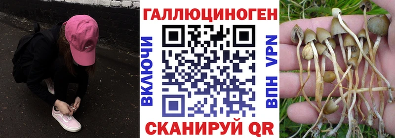 Купить  Мончегорск  Галлюциногенные грибы MAGIC MUSHROOMS 